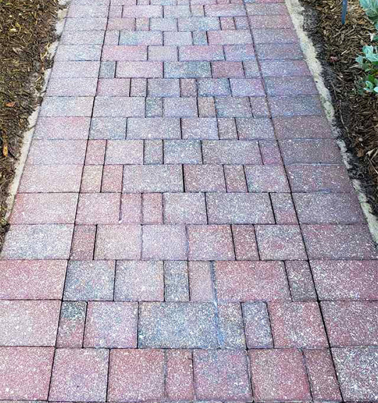 Pathway Pavers Cleaned and Sealed